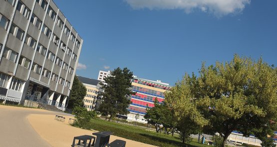 Espace public - Rues et places - parc central du Campus de l’Université de Strasbourg (Bas-Rhin) - SERUE Ingénierie