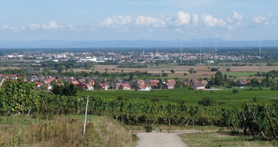 Amnagement rues et places - Piste cyclable entre les communes de Sélestat et de Châtenois (Bas-Rhin) - SERUE Ingénierie
