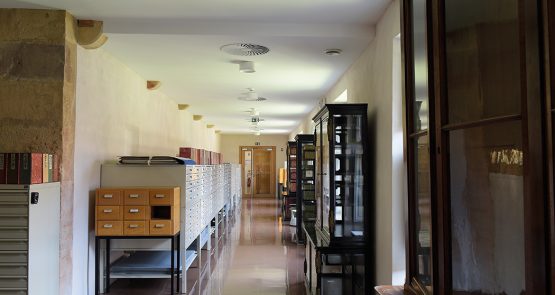 Culture - Rénovation et restructuration de la bibliothèque des Dominicains à Colmar (68) - SERUE Ingénierie