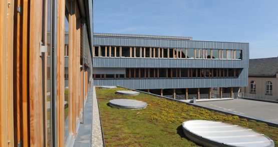 Enseignement - second cycle et supérieur - Restructuration du Collège FOCH à Haguenau (67) - SERUE Ingénierie