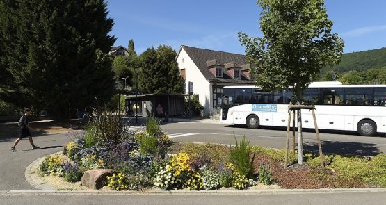 Transports et mobilité - Pôle d’échange multimodal de la gare à Niederbronn-les-Bains (67) - SERUE Ingénierie