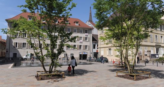 Espace public - Rues et places - Réaménagement du Square STEINBACH à Mulhouse (Haut-Rhin) - SERUE Ingénierie